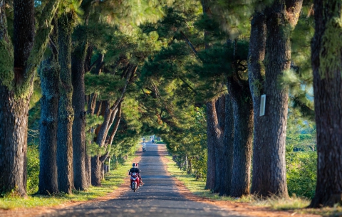 Một ngày tại Gia Lai cùng VieTour