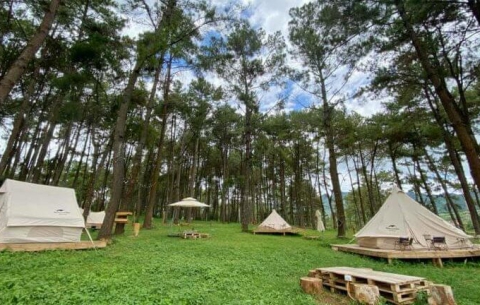 Top 5 địa điểm camping tại Đà Nẵng mà bạn không thể bỏ qua