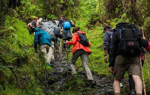 Trekking là gì? Những điều cần biết về du lịch trekking